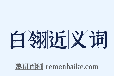 白翎近义词是什么意思的图片